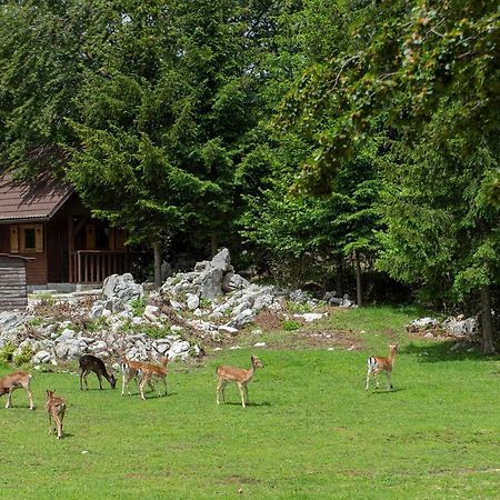 Apartma Vidmar Otlica Ajdovščina Esterno foto