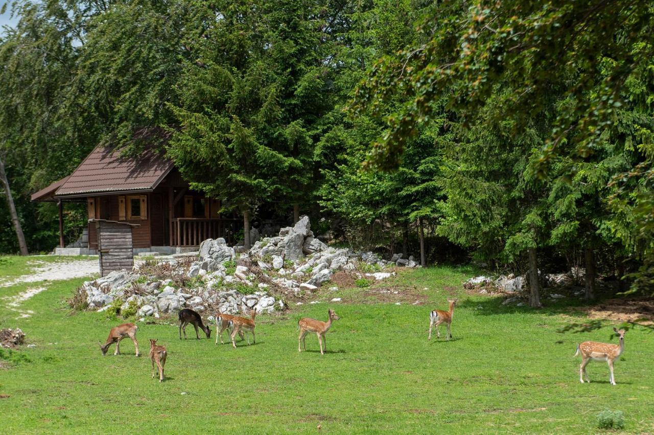 Apartma Vidmar Otlica Ajdovščina Esterno foto